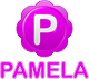 Pamela for Skype